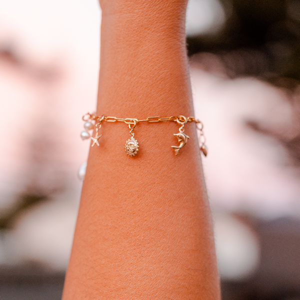 Dolphin Charm